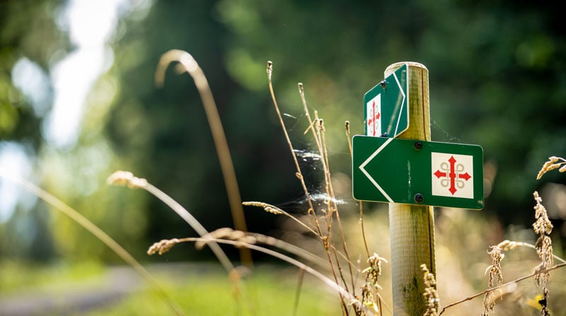 Bli med på pilegrimsvandring – og opplev Nordbys historie på veien! 🌿👣