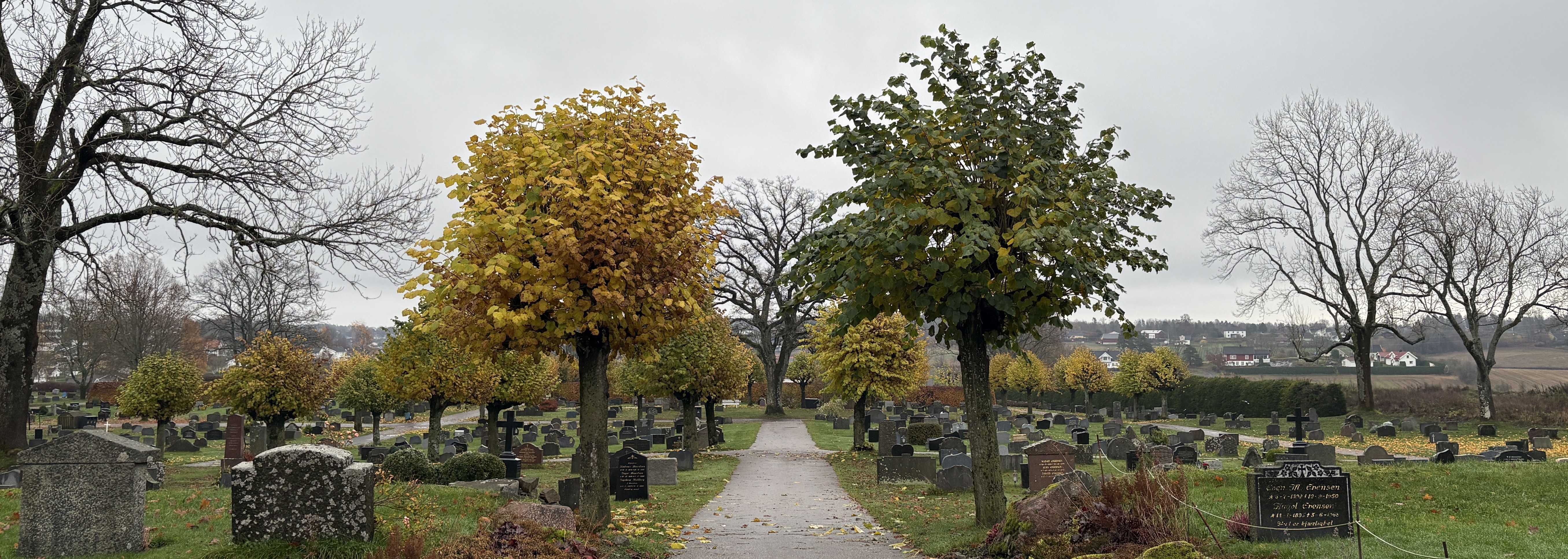 Toppbilde for Gravplassmyndigheten i Færder