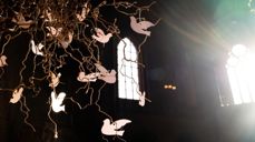 Kirkenes verdensråd og Den norske kirkes biskoper inviterer til bønn for Gaza og Israel. Foto: Den norske kirke.