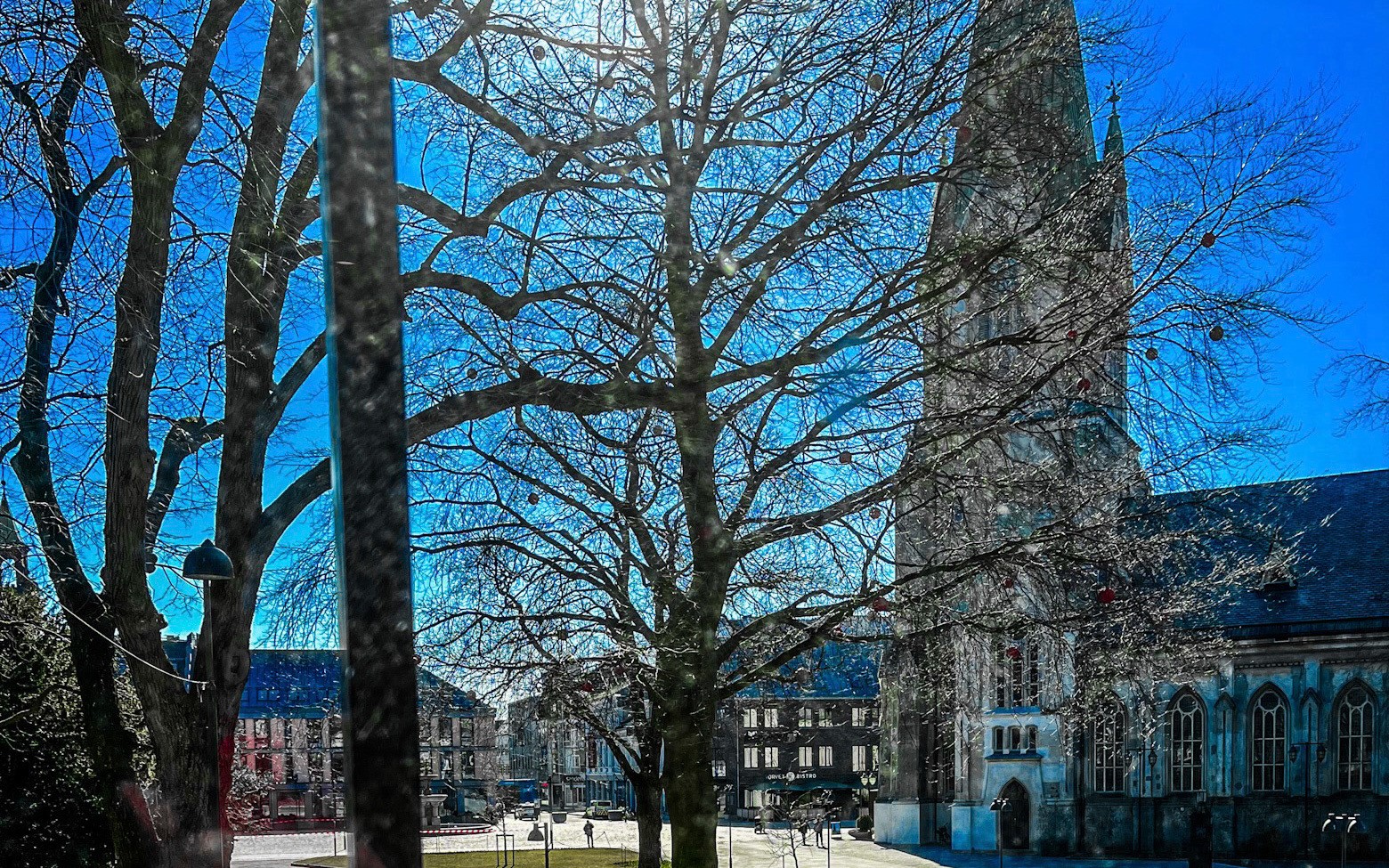 Nyhetsbrev fra Agder og Telemark bispedømme