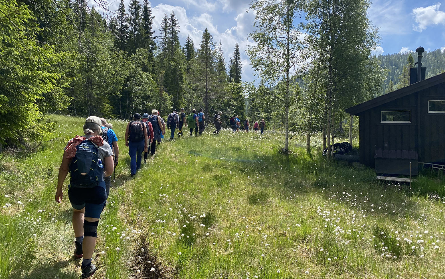 Pilegrimsvandring  mellom Åraksbø og Bygland. Foto: Helga Victoria Aas Johnsen. 