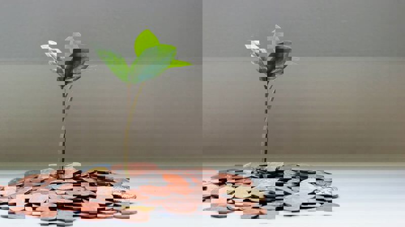 Veiledning til å starte en innsamling