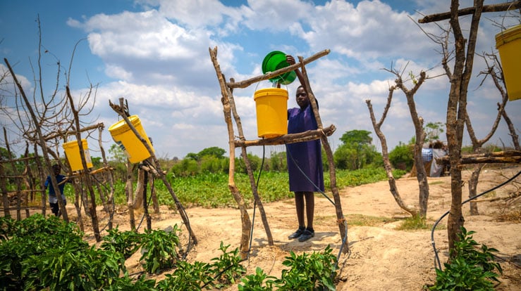 Ved hjelp av ganske små dropar vatn og dryppirrigasjon kan det vekse planter. Her fyller Prevencia frå Zambia vatn i bøtter, og vatnet blir ført ut gjennom tynne slangar til plantene. Foto: Kirkens nødhjelp