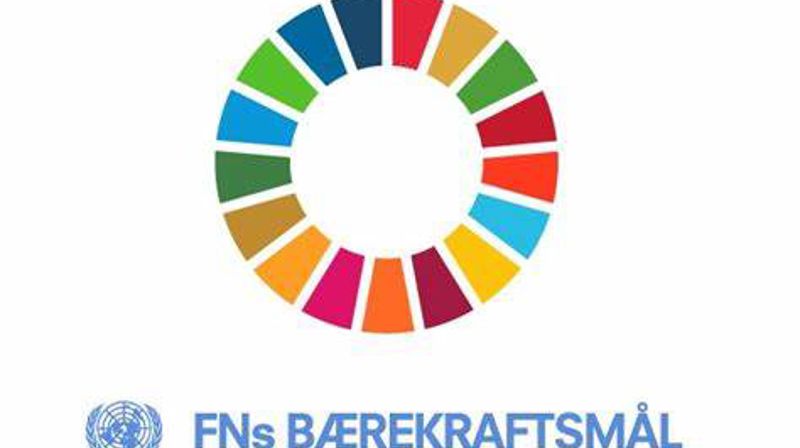 Vi søker en som ønsker å bidra til å videreutvikle kirkens samfunnsengasjement knyttet opp til FNs bærekraftsmål (FOTO: fn.no)