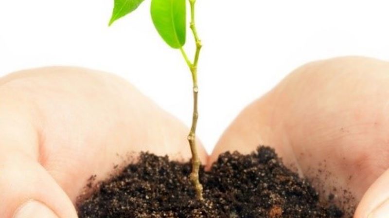 Fagkonferanse 7.november: "Å leve et helt liv - hele livet"