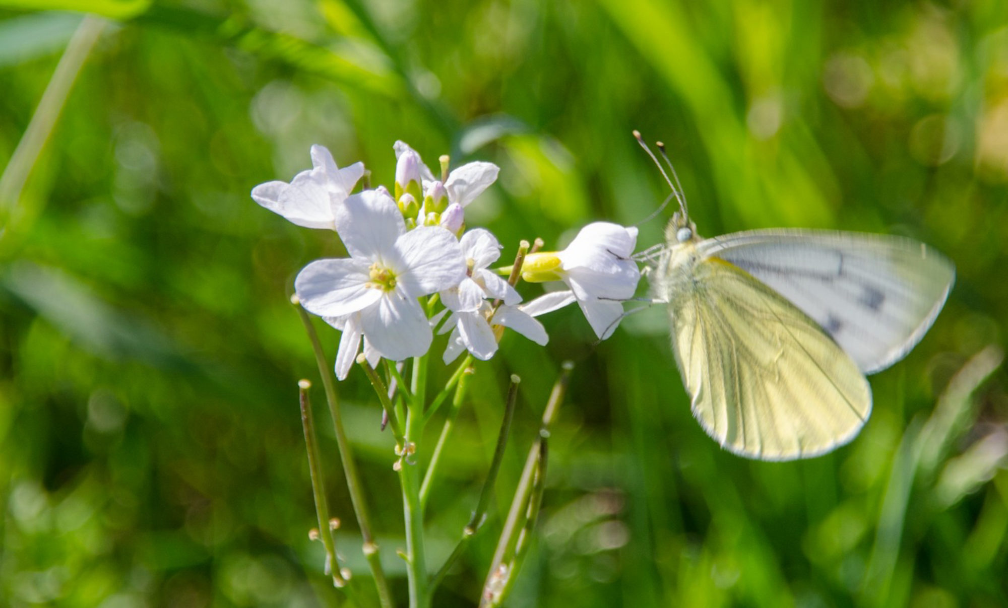 AKTUELT: Velkommen til viktig og aktuelt seminar i Fredrikstad