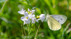 AKTUELT: Velkommen til viktig og aktuelt seminar i Fredrikstad