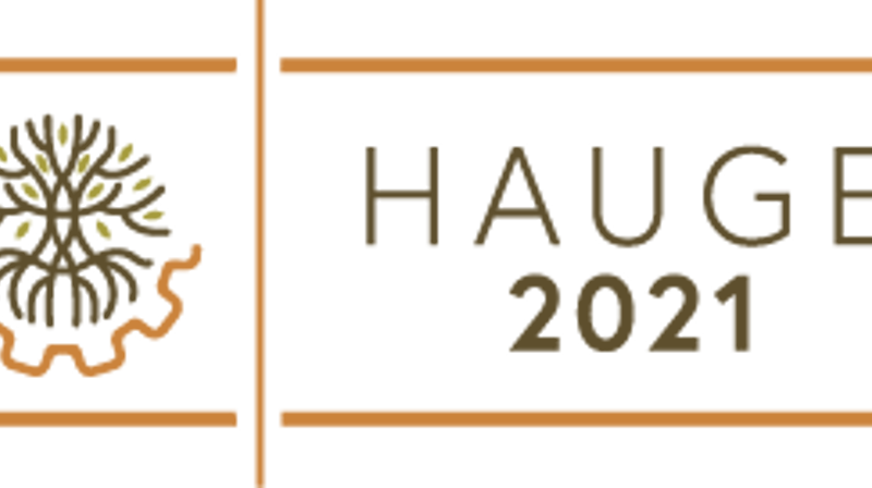 Hauge – mystikk og samfunnsengasjement