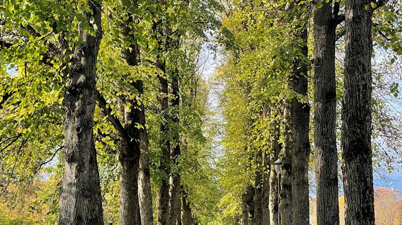 Opplev Gud på ulike måter