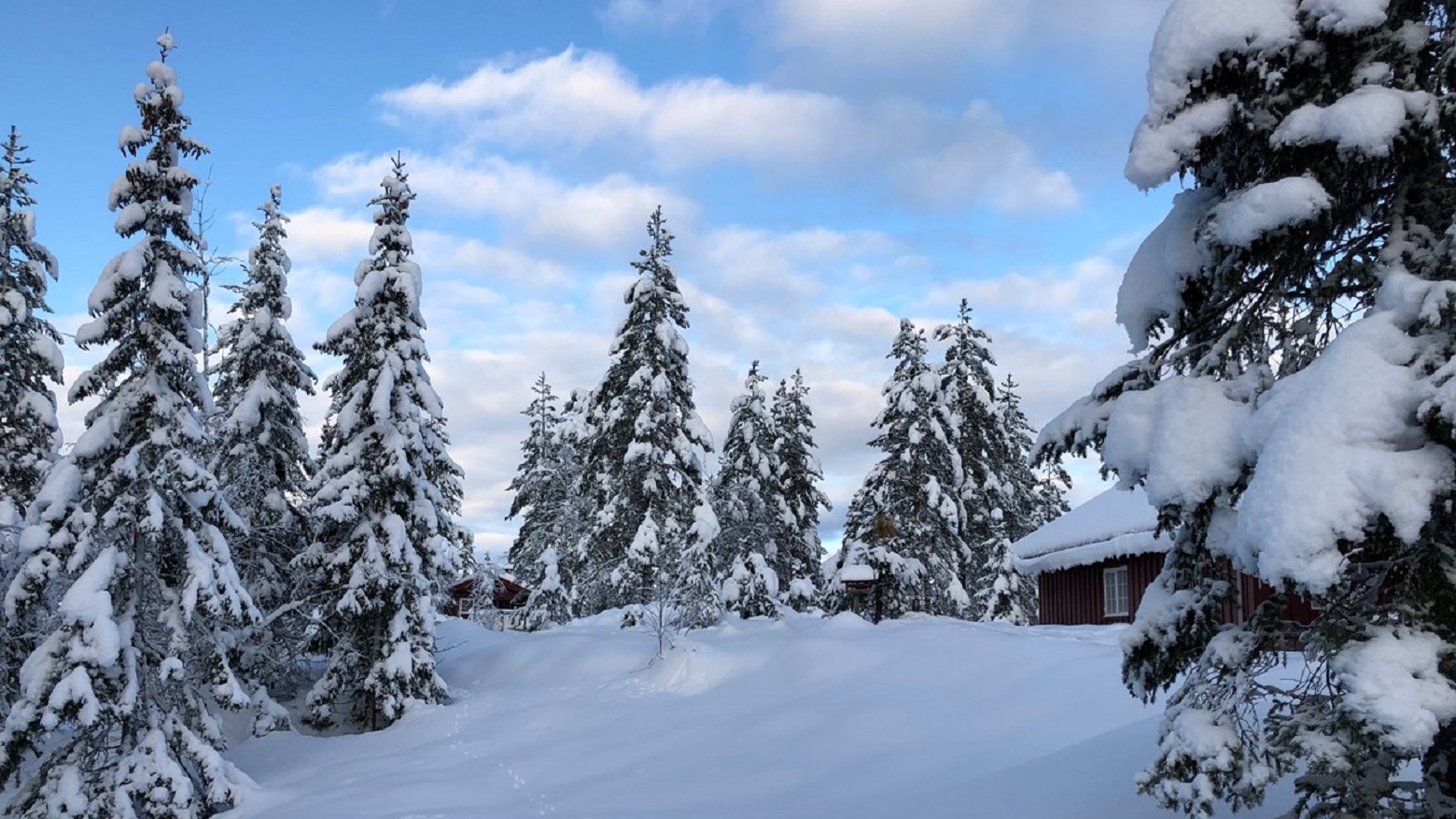 Innlandet blir norges største hyttefylke. Dette er hytter på Totenåsen. Foto: Jorun Vang