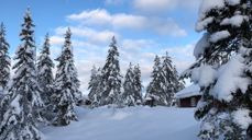 Innlandet blir norges største hyttefylke. Dette er hytter på Totenåsen. Foto: Jorun Vang