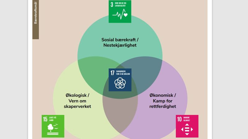 Bærekraftsmålene er sentrale i strategien til Hamar bispedømme. Ill: Hamar bispedømmeråd