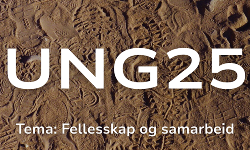UNG 25 - Fellesskap og samarbeid