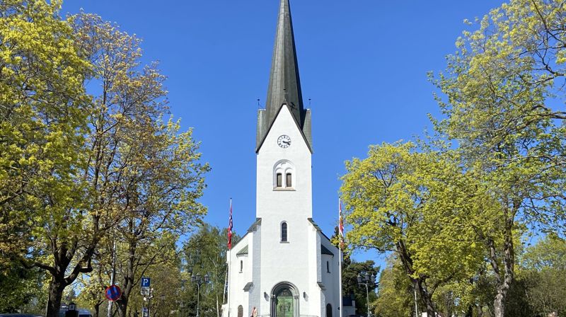 Hamar domkirke er hovedkirke i Hamar bispedømme, og, sammen med Storhamar kirke (1975), menighetskirke for Hamar menighet. Domkirken sto ferdig i 1866. Kirken har langplan og er bygget i mur. Arkitekt er Herman E. Schirmer. Kirken har vernestatus listeført hos Riksantikvaren. Kilde: kirkesok.no Foto: Aslaug S. Haugen