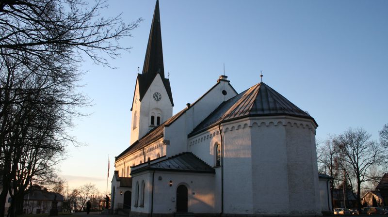 Hamar domkirke er hovedkirke i Hamar bispedømme, og, sammen med Storhamar kirke (1975), menighetskirke for Hamar menighet. Domkirken sto ferdig i 1866. Kirken har langplan og er bygget i mur. Arkitekt er Herman E. Schirmer. Kirken har vernestatus listeført hos Riksantikvaren. Kilde: kirkesok.no.