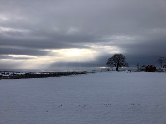 Lyset skinner i mørket, og mørket har ikke overvunnet det. Joh. 1:5 Foto: Jorun Vang