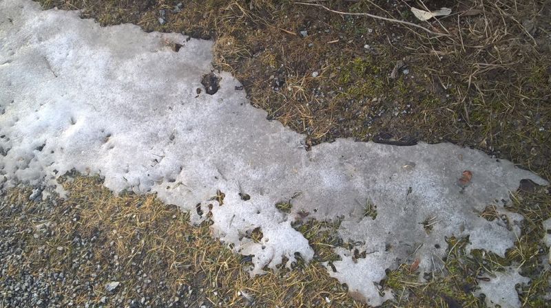 Hverdagstanker i fastetiden: Telesmeltingsfesten