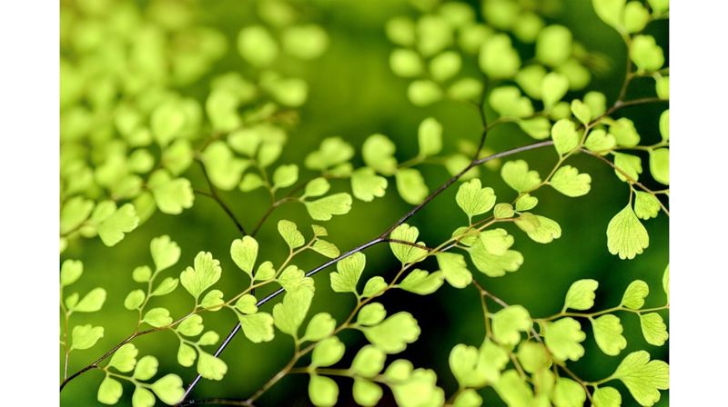 Illustrasjonsfoto fra pixabay.com/no