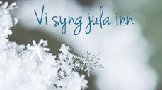 Søndag 20. desember kl. 16 inviterer biskop Ingeborg Midttømme alle i Møre og Romsdal til å være med og synge Deilig er jorden, fra hustrappa, verandaen, stua eller et annet sted... – Sangen setter ord på håpet om at det skal komme nye tider og bringer ord om fred, sier biskopen.