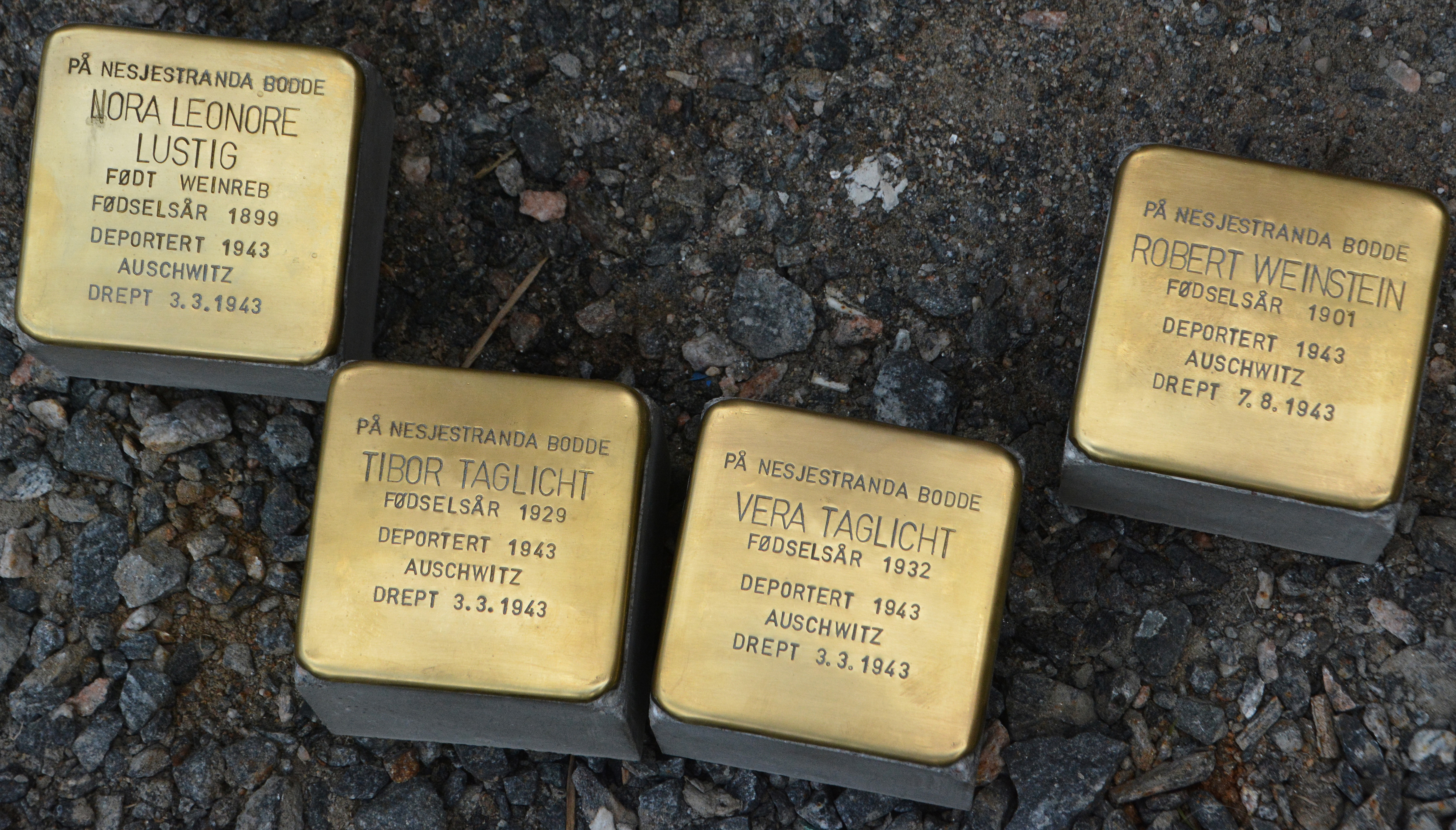 Også i Møre vart jødar deporterte til utryddingsleiren Auschwitz. På Nesjestranda ved Molde er det lagt snublesteinar til minne om fire av desse. Slike snublesteinar er også lagt i Kristiansund og i Ålesund, til minne om jødiske familiar som budde der og som vart deporterte. (foto: Svein Magne Harnes)