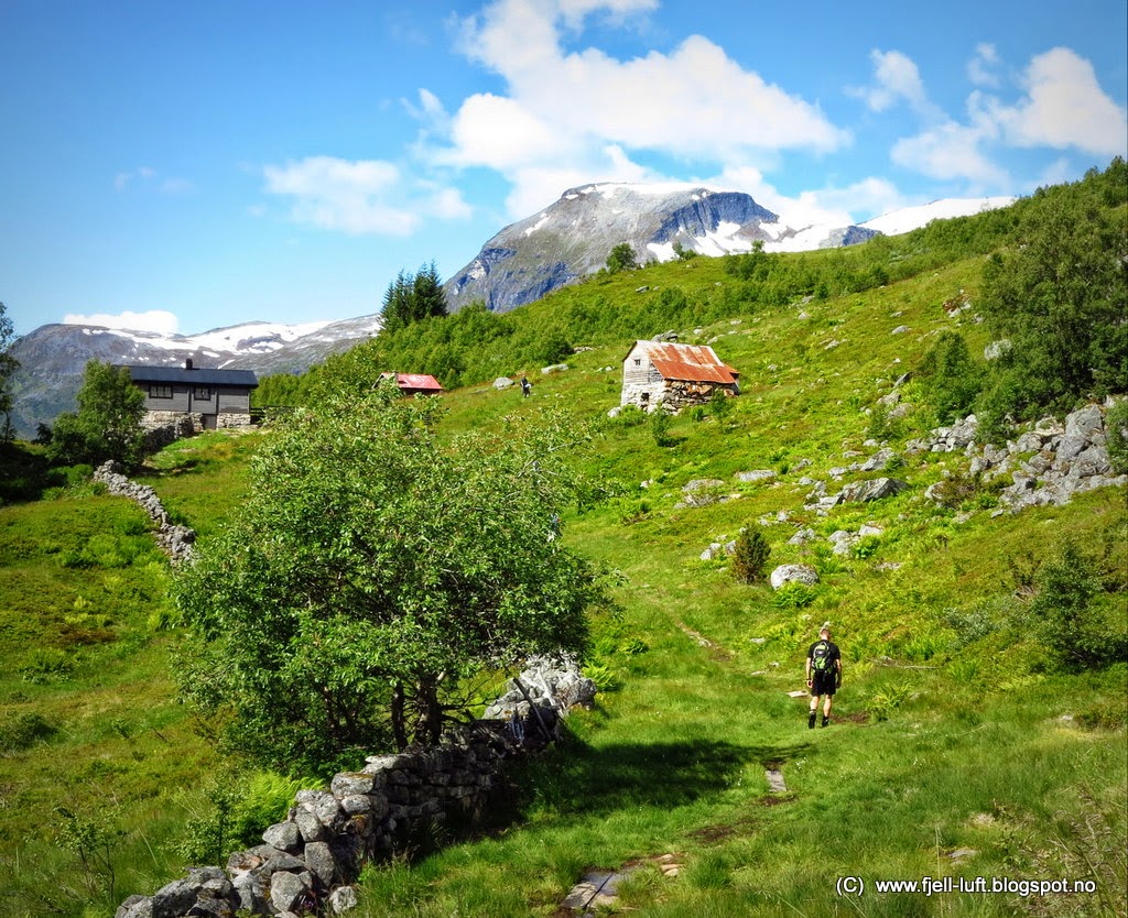 Hausetsetra, nydeleg lagt i øvre del av Møllsbygda, med flott utsikt over fjorden, er staden for Verdsarvgudstenesta 21. juni 2020. Foto: www.fjell-luft-blogspot.no 