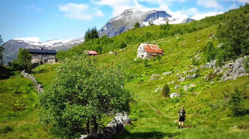 Hausetsetra, nydeleg lagt i øvre del av Møllsbygda, med flott utsikt over fjorden, er staden for Verdsarvgudstenesta 21. juni 2020. Foto: www.fjell-luft-blogspot.no