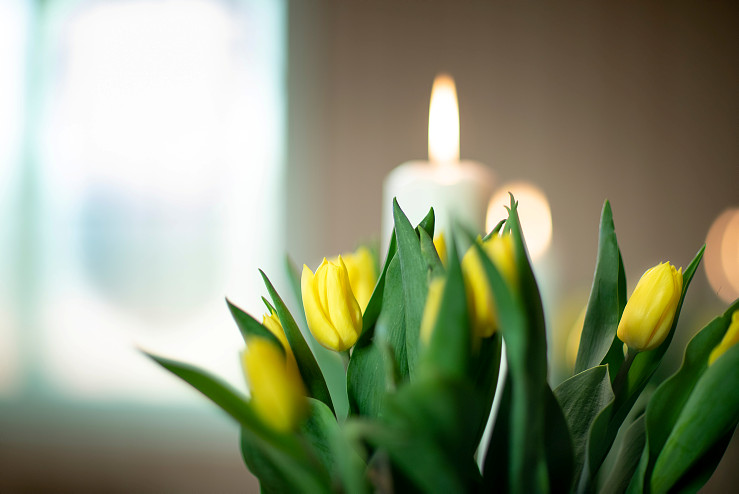 Illustrasjonsfoto: Bo Mathisen