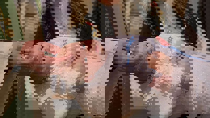 Kirkelige statistikker for 2017 viser at Møre ligger øverst når det gjelder oppslutning om dåp, konfirmasjon og gudstjenestedeltakelse.