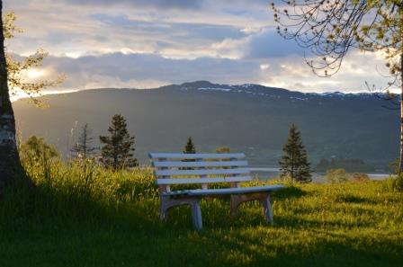 Sjelesorg i en tros- og livssynspluralistisk kontekst, 10 studiepoeng