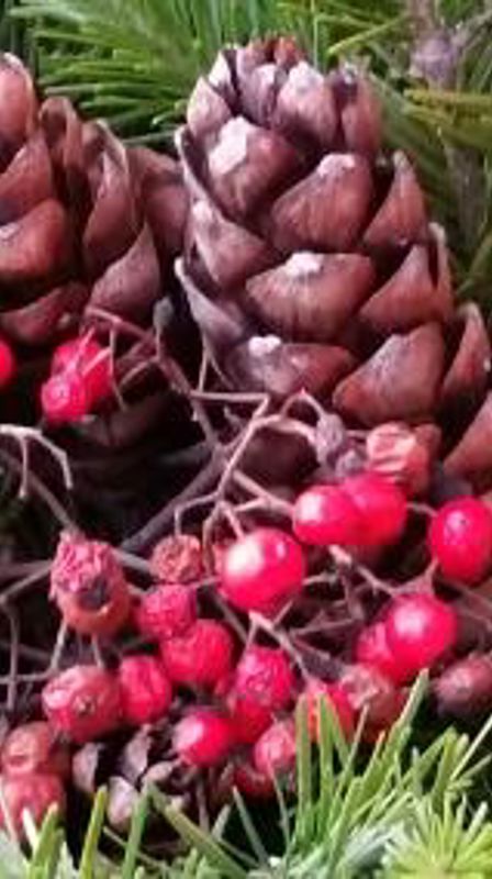 Åpningstider i jula