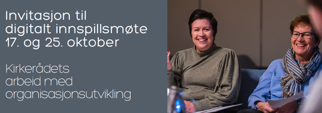 Innspillsmøte om kirkelig organisering