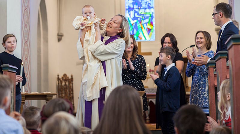 Vennlig Viktig Modig Dyktig