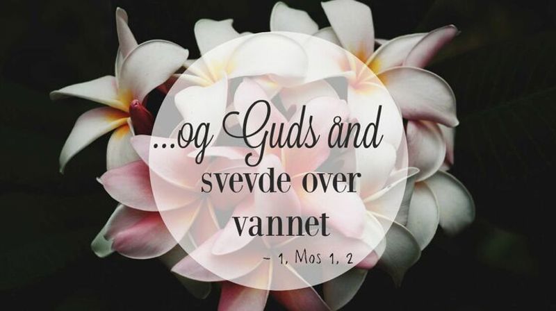 Ressurser til pinse