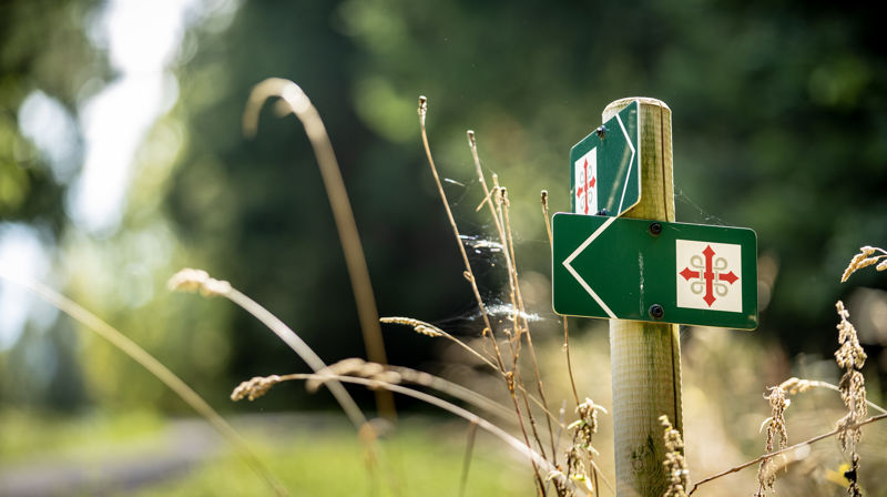 Pilegrimstur - foto Bo Mathisen