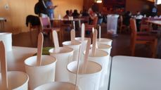 Alle foto: Sarai T. Mathisen