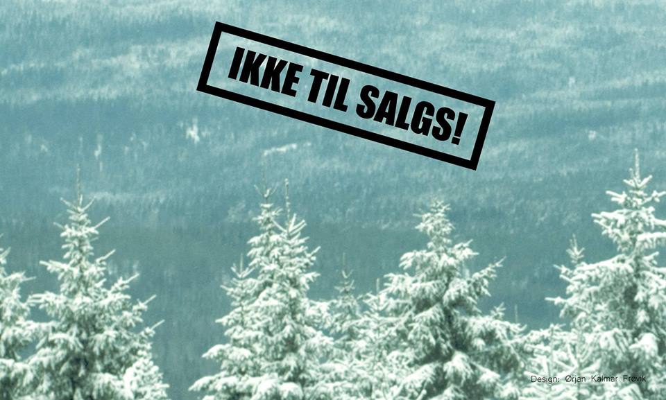 Inspirasjonssamling grønn kirke