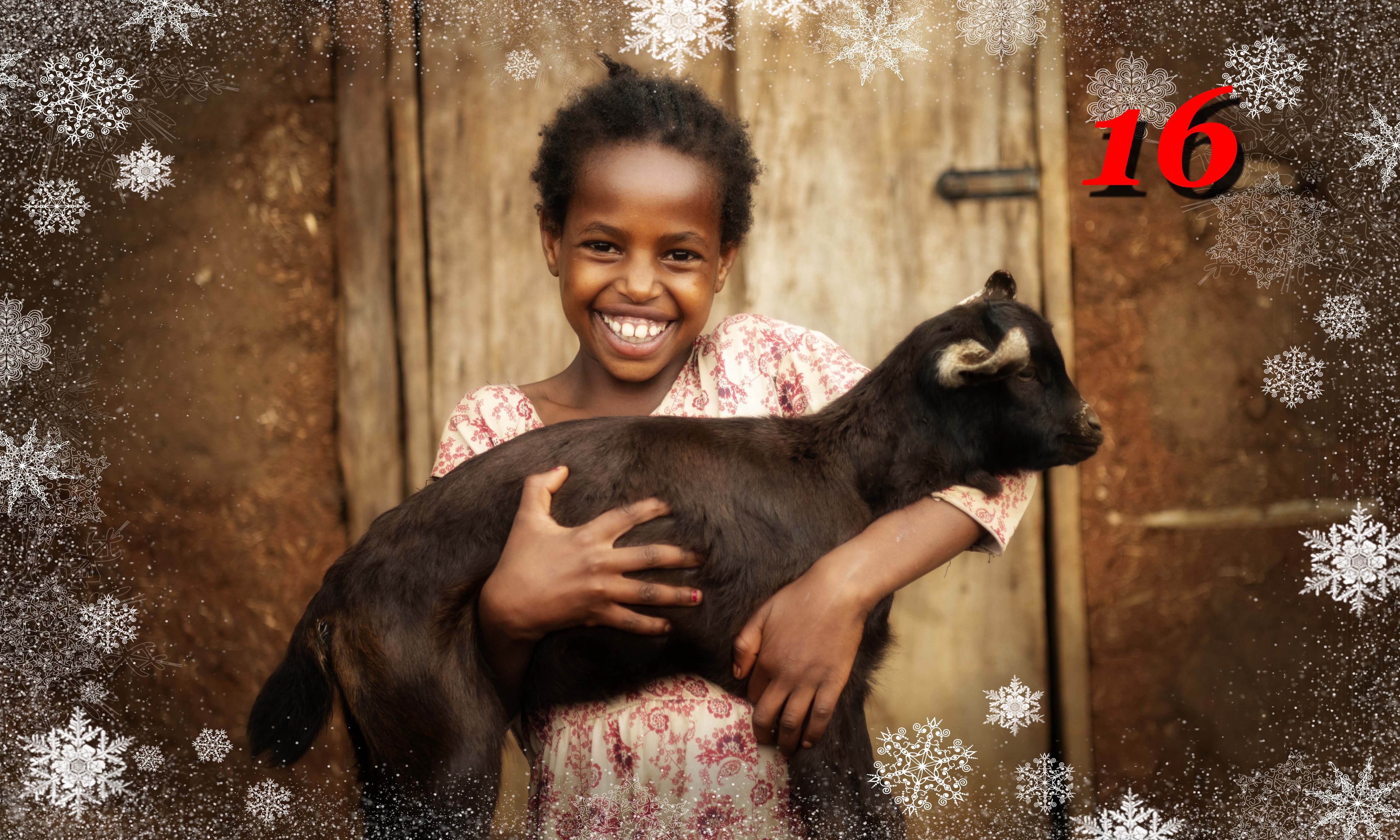 Foto: Kirkens nødhjelp, Amanda Gamada, 7 år, med geit i Beseko Ilala i Etiopia. 