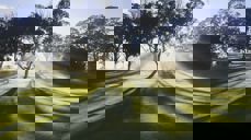 Foto: Mandy Henry, unsplash.com