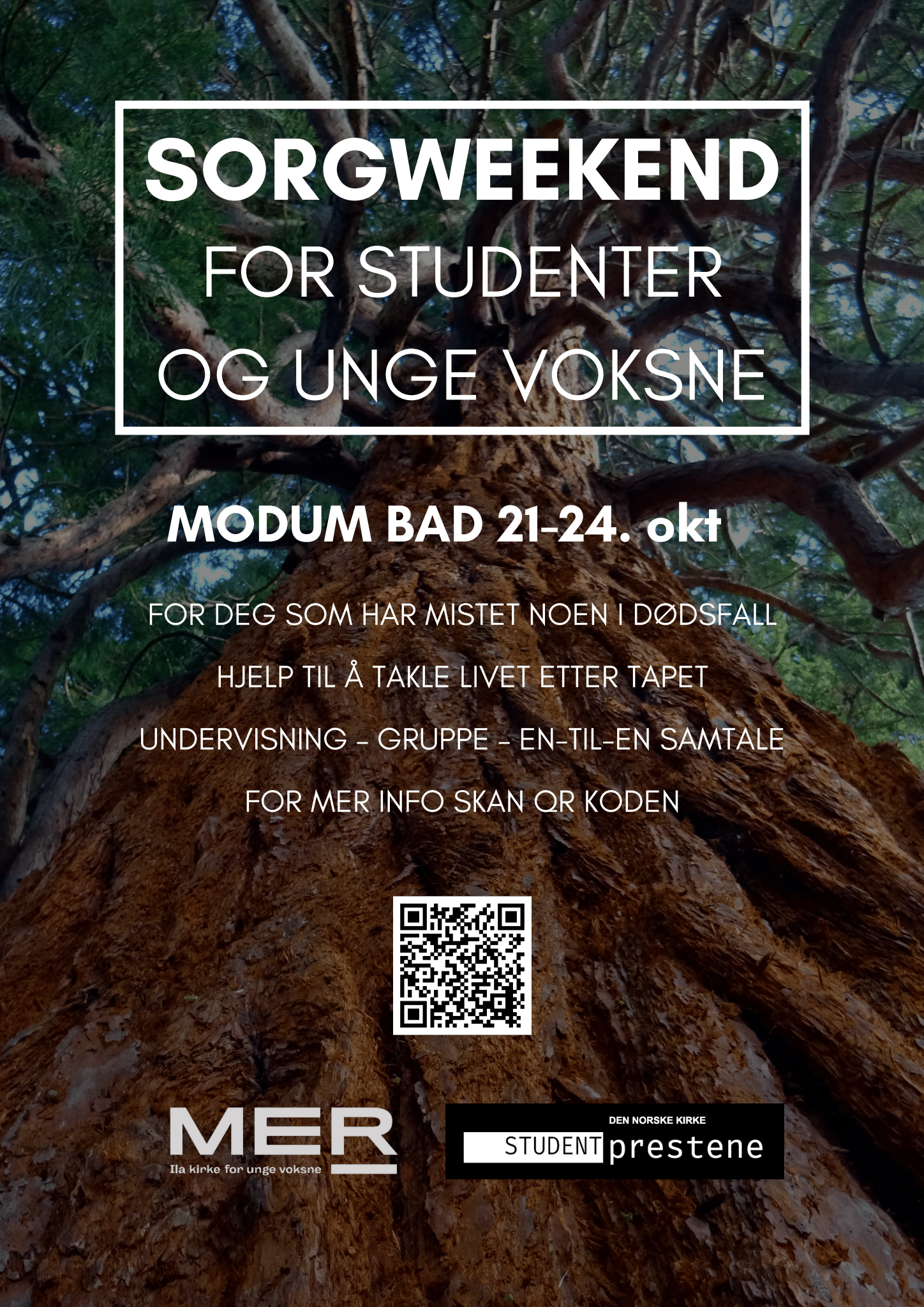 Sorgtilbud for studenter og unge voksne