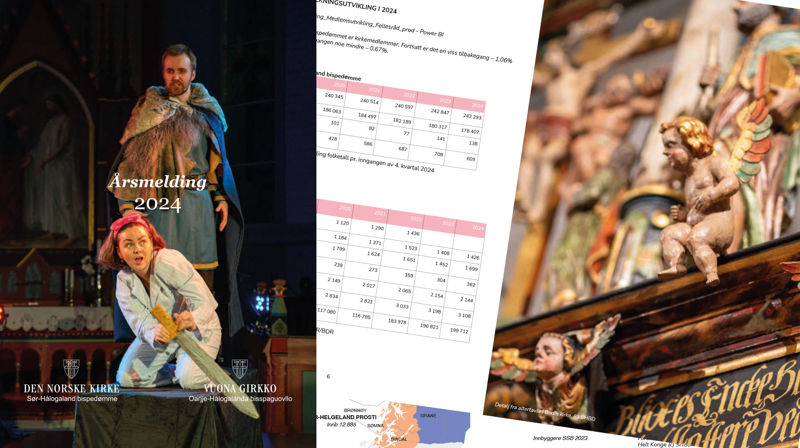 Årsrapporter / årsmeldinger