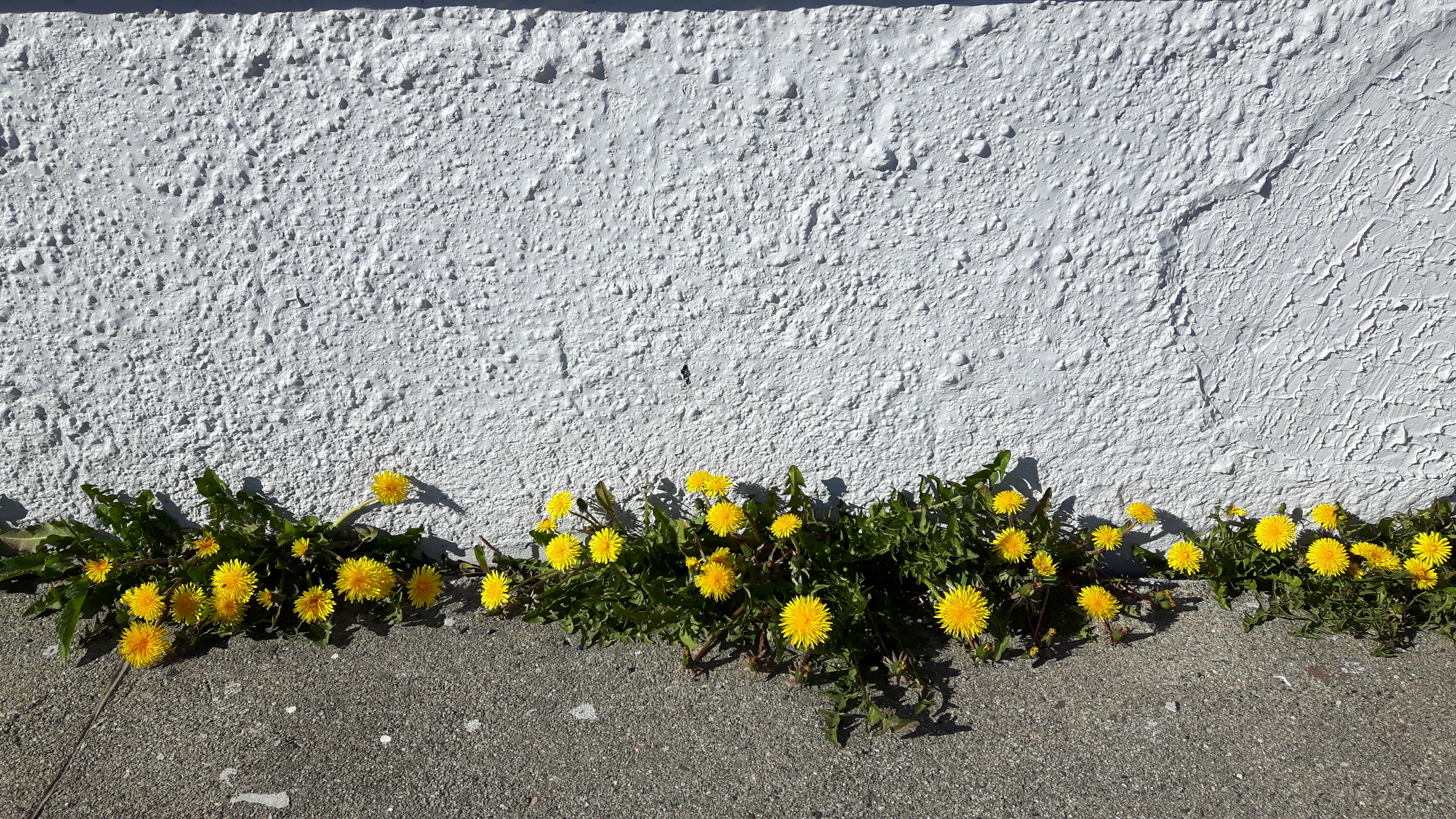 Kutter fem prestestillinger i Nordland