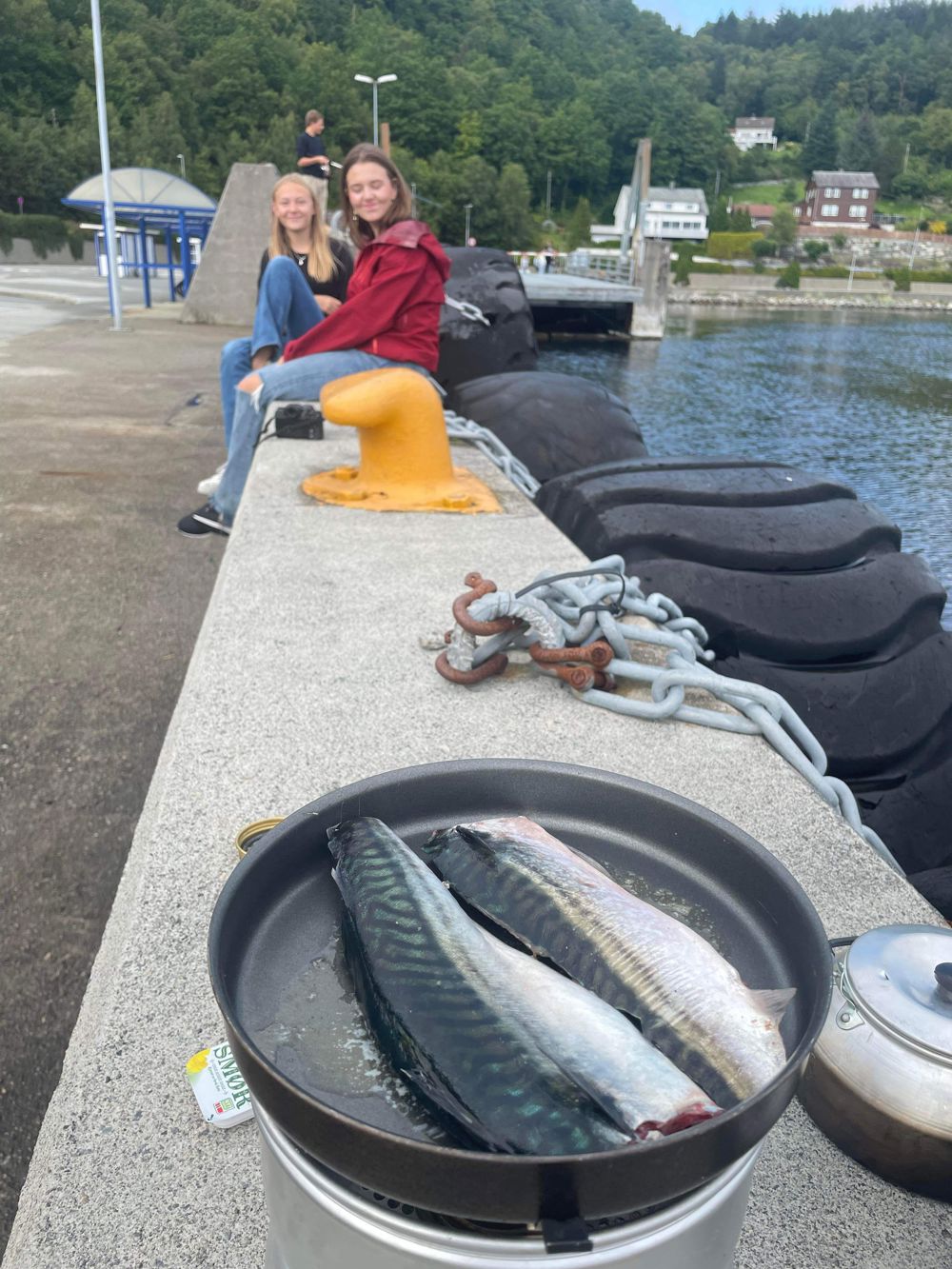 En av aktivitetene ungdommene kunne velge var fisketur, og fisken ble stekt etter hvert som den ble halt opp på land av konfirmantene.