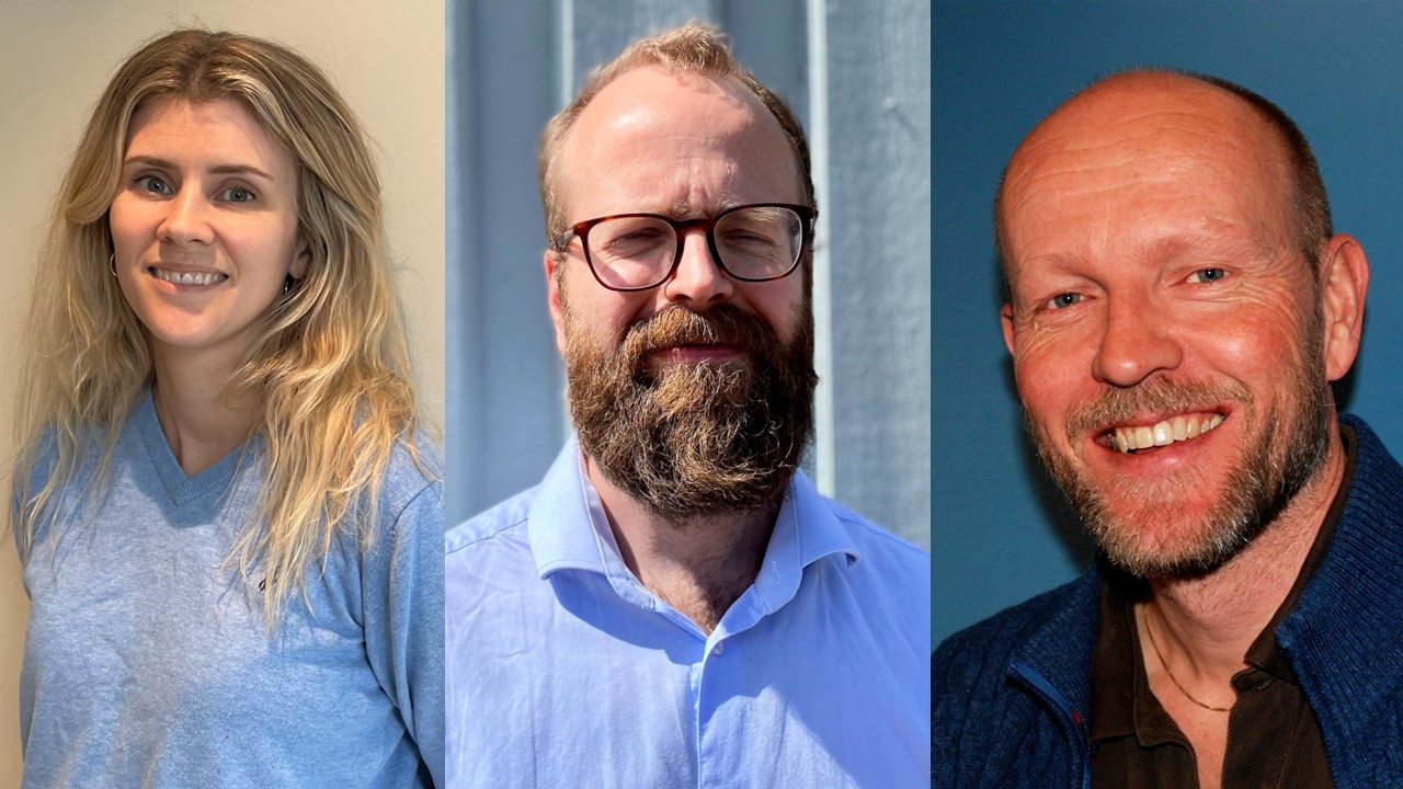 F.v.: Linda Aune Aurdal, Rolv Henrik Øye og Torgeir Vea.