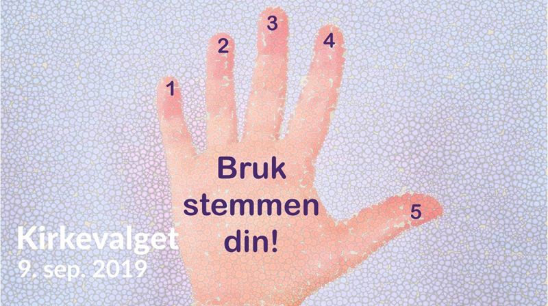 Fem gode grunner til å stemme