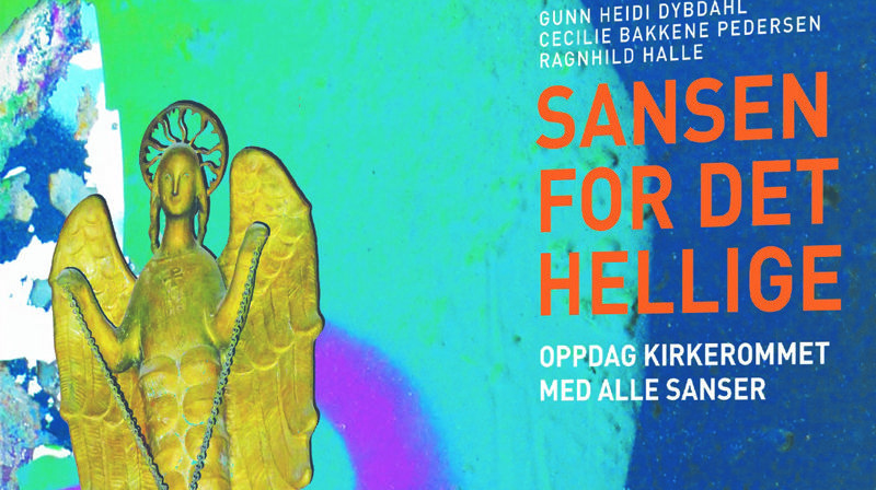 Utsnitt av bokas forside, se bilde av hele nederst i saken.