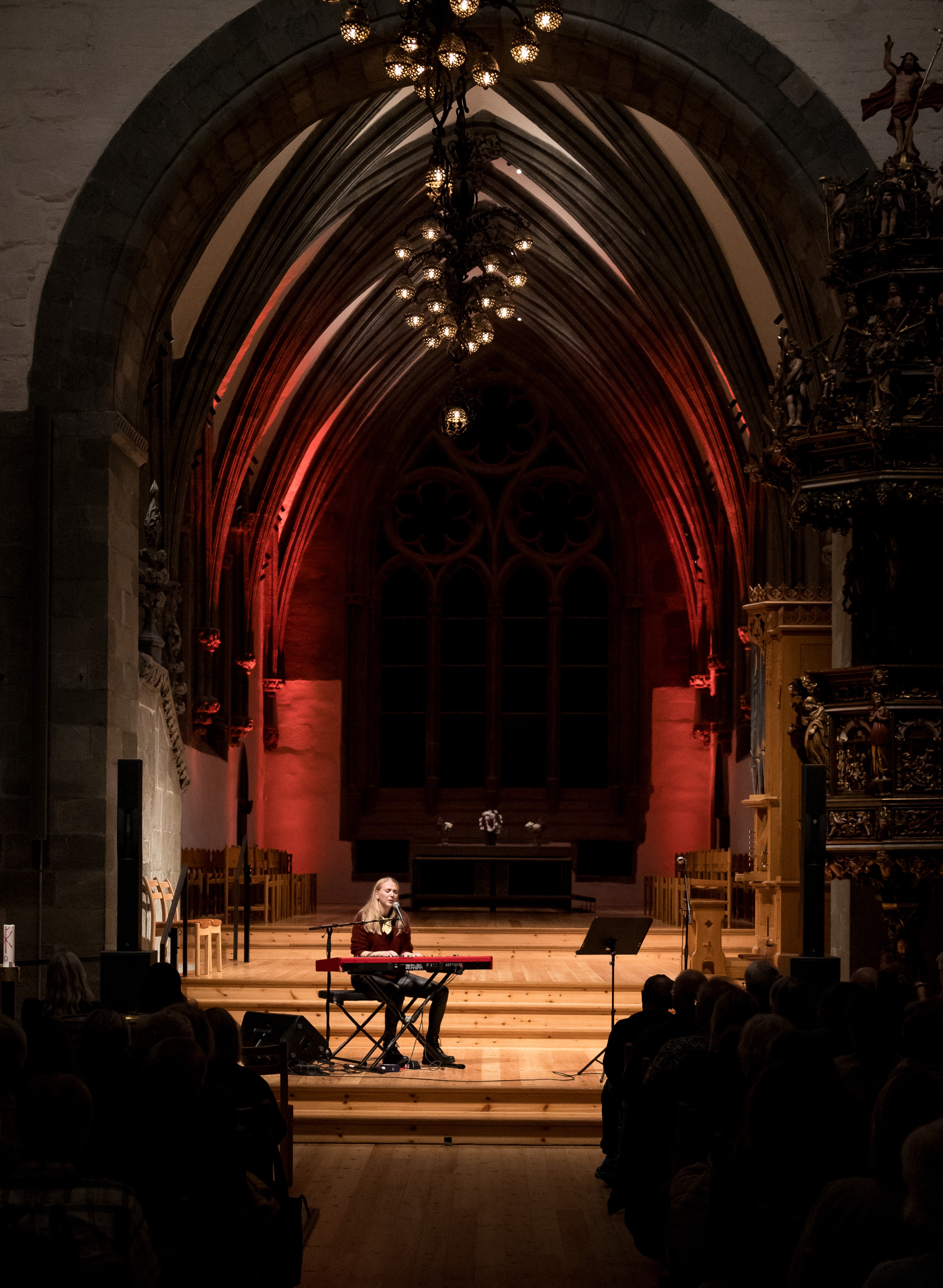 domkirken fint belyst