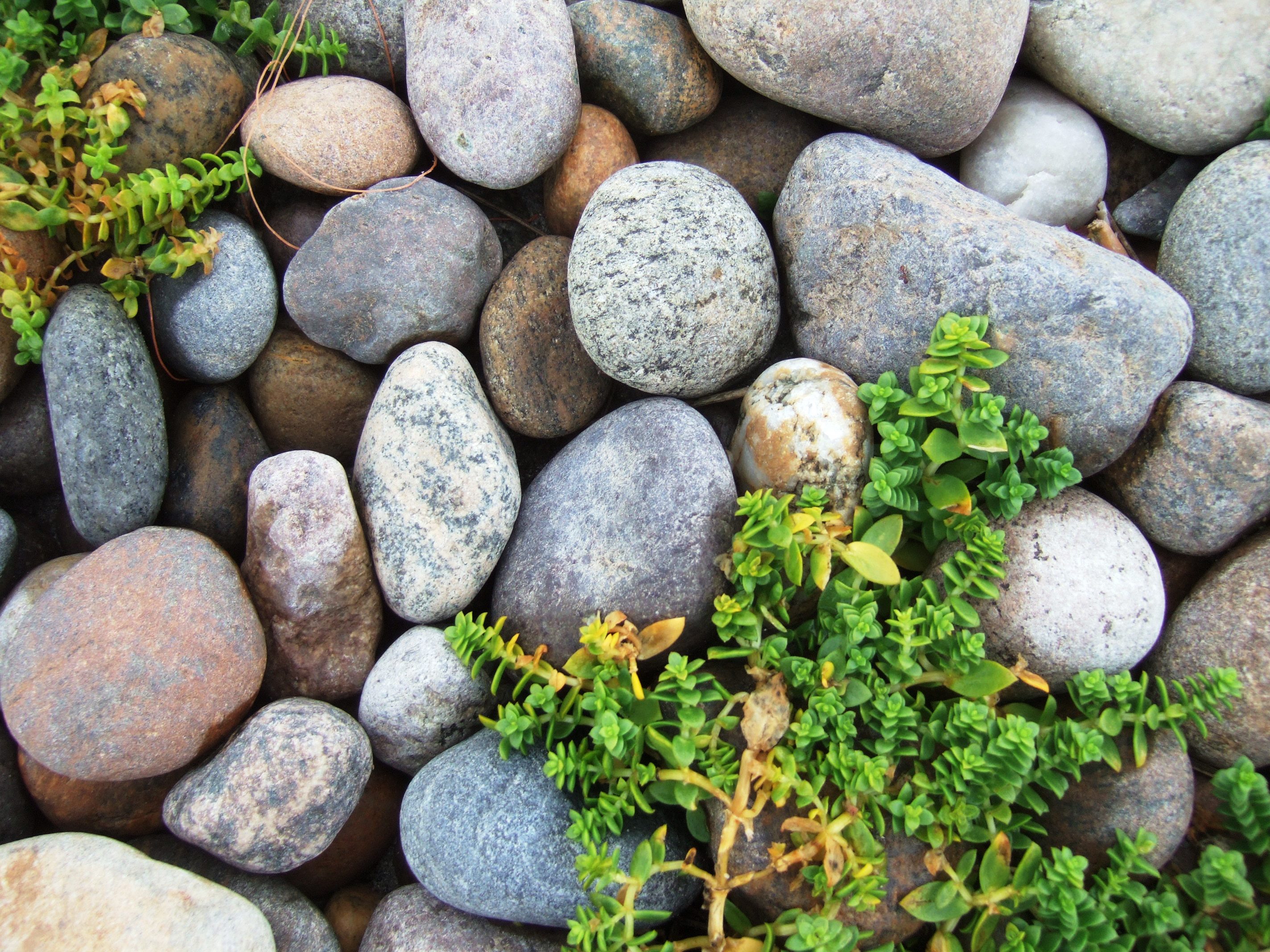 Samtale og sjelesorg