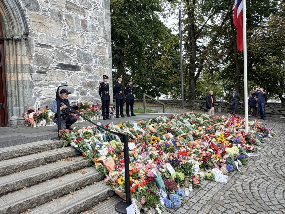 Del av blomsterhavet utenfor Stavanger domkirke.