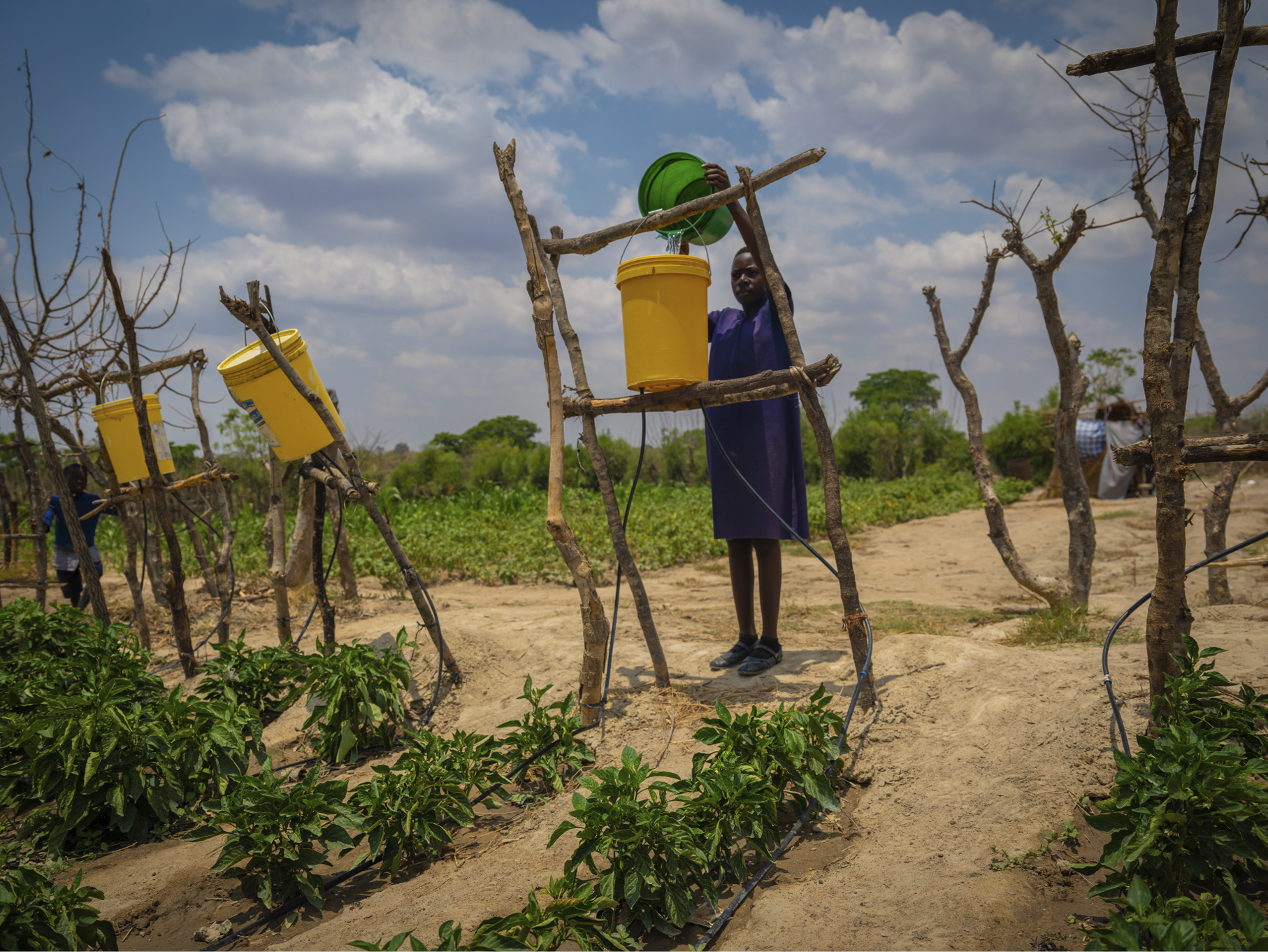 Ved hjelp av ganske små dråper vann og dryppirrigasjon kan det vokse planter. Prevencia fyller vann i bøtter, og vannet føres ut gjennom vannslanger til plantene. Foto: Kirkens Nødhjelp