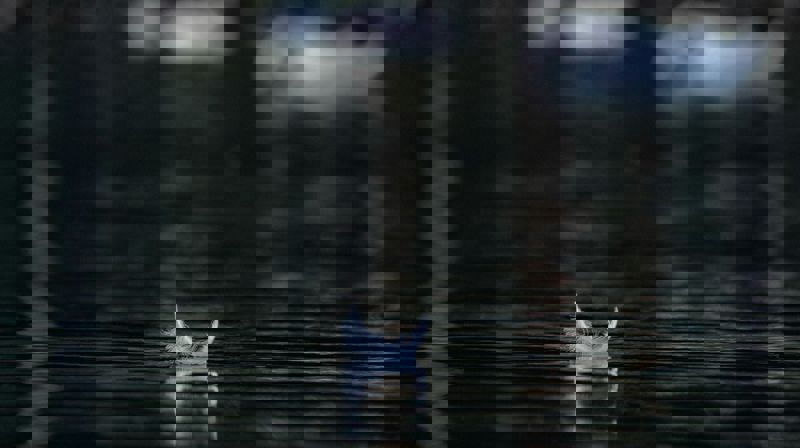 Ill.foto: Andraz Lazic / Unsplash